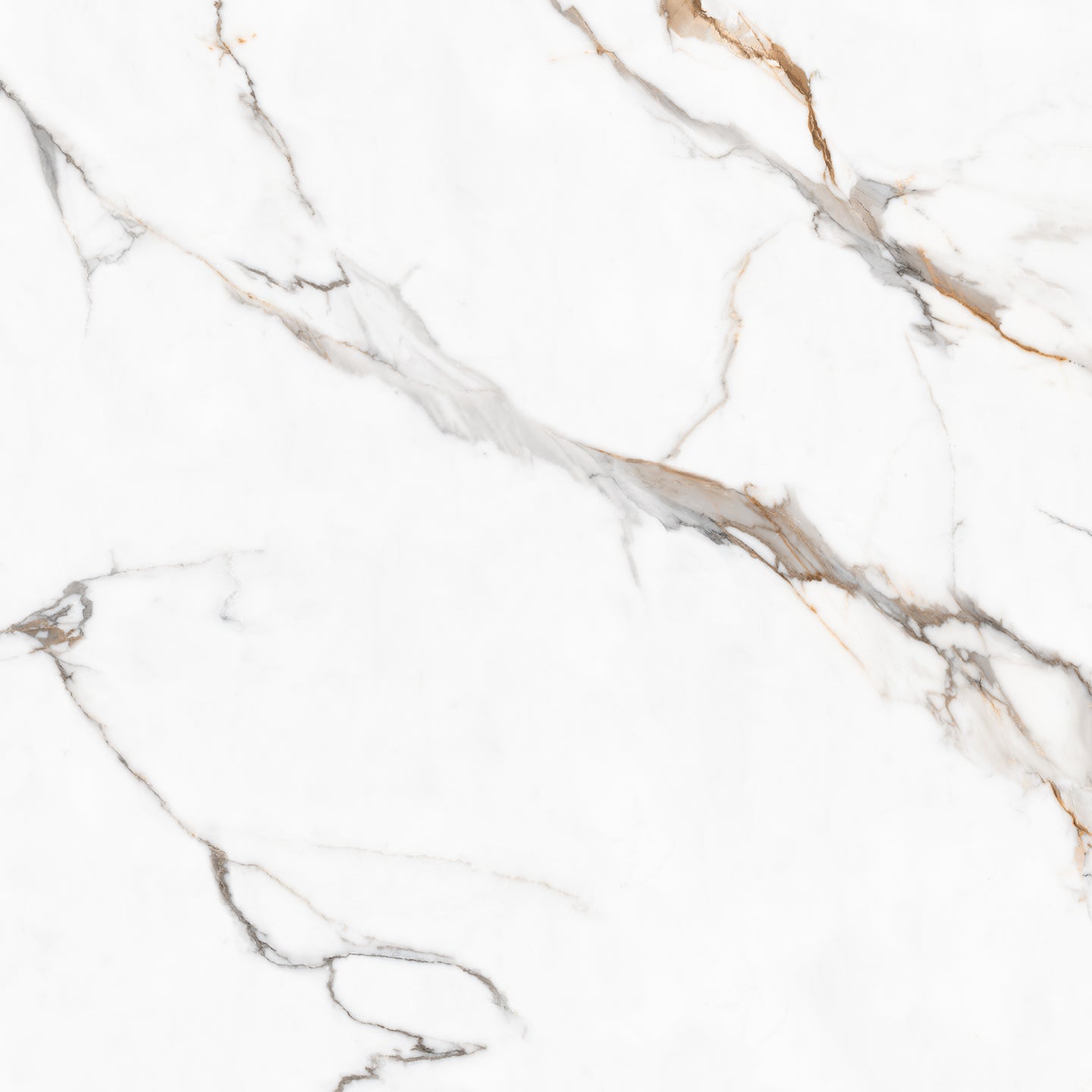 10118 Calacatta Valoria view 2