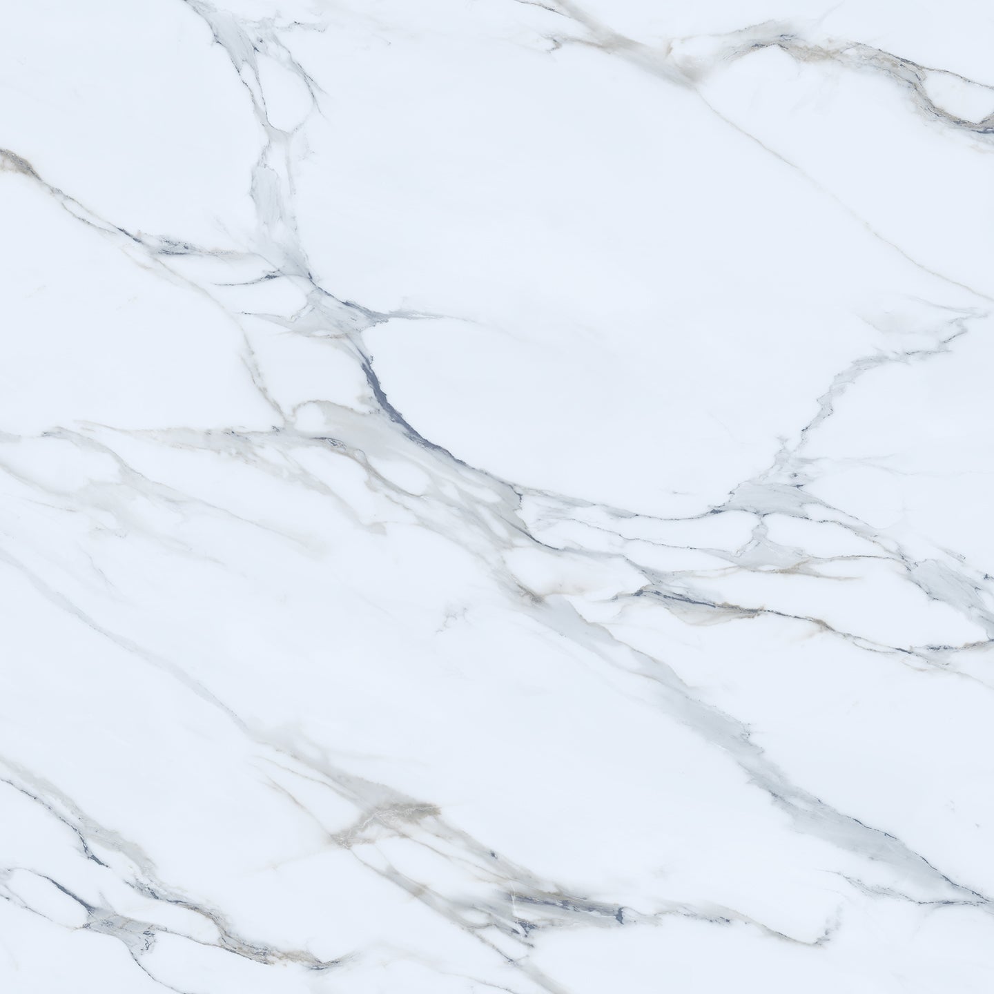 10119 Calacatta Blanvera view 2