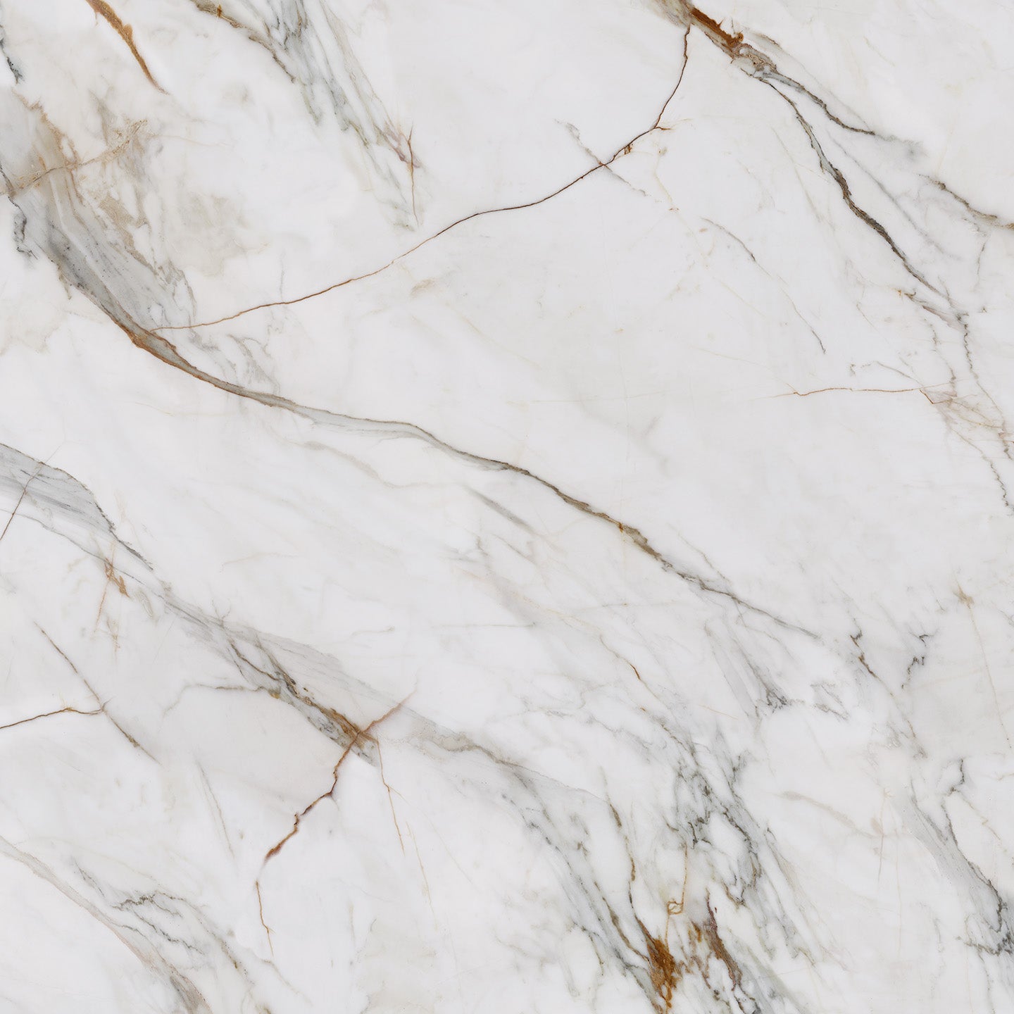 10123 Calacatta Florance Gold view 2