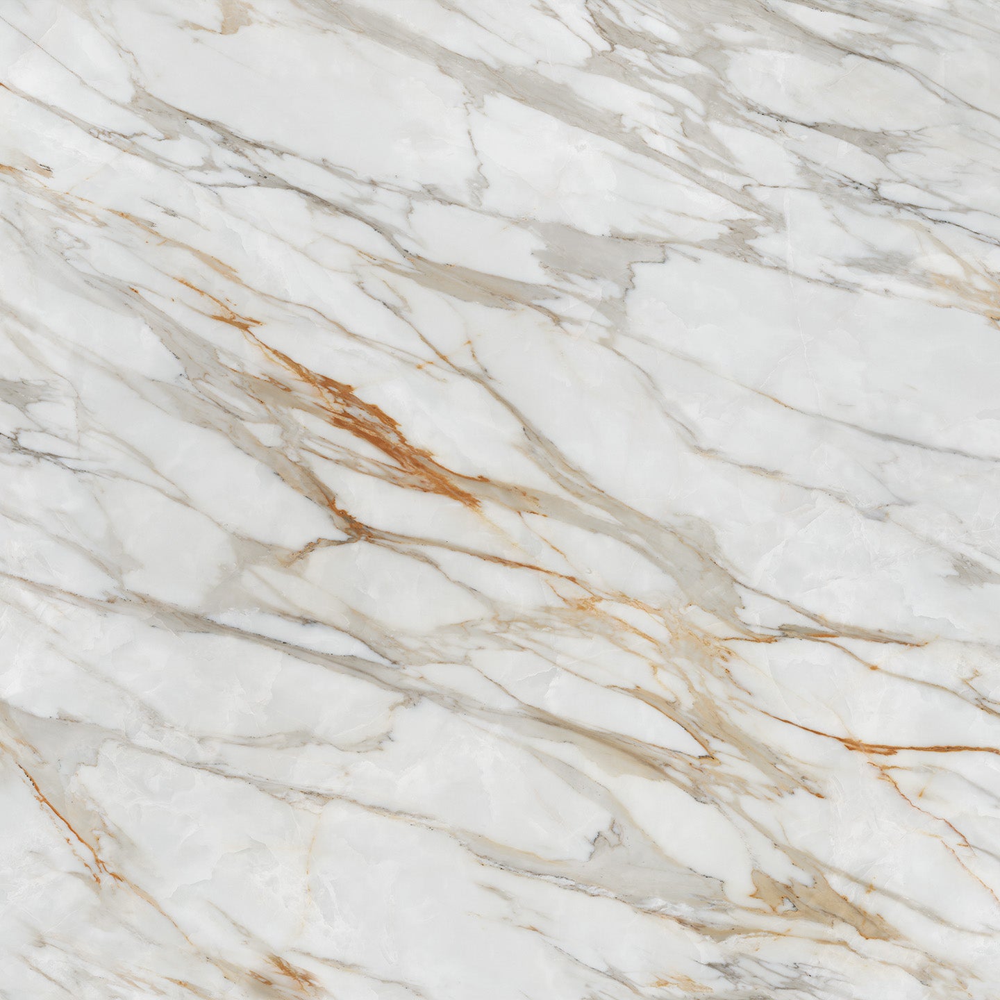 10124 Calacatta Dorado view 2