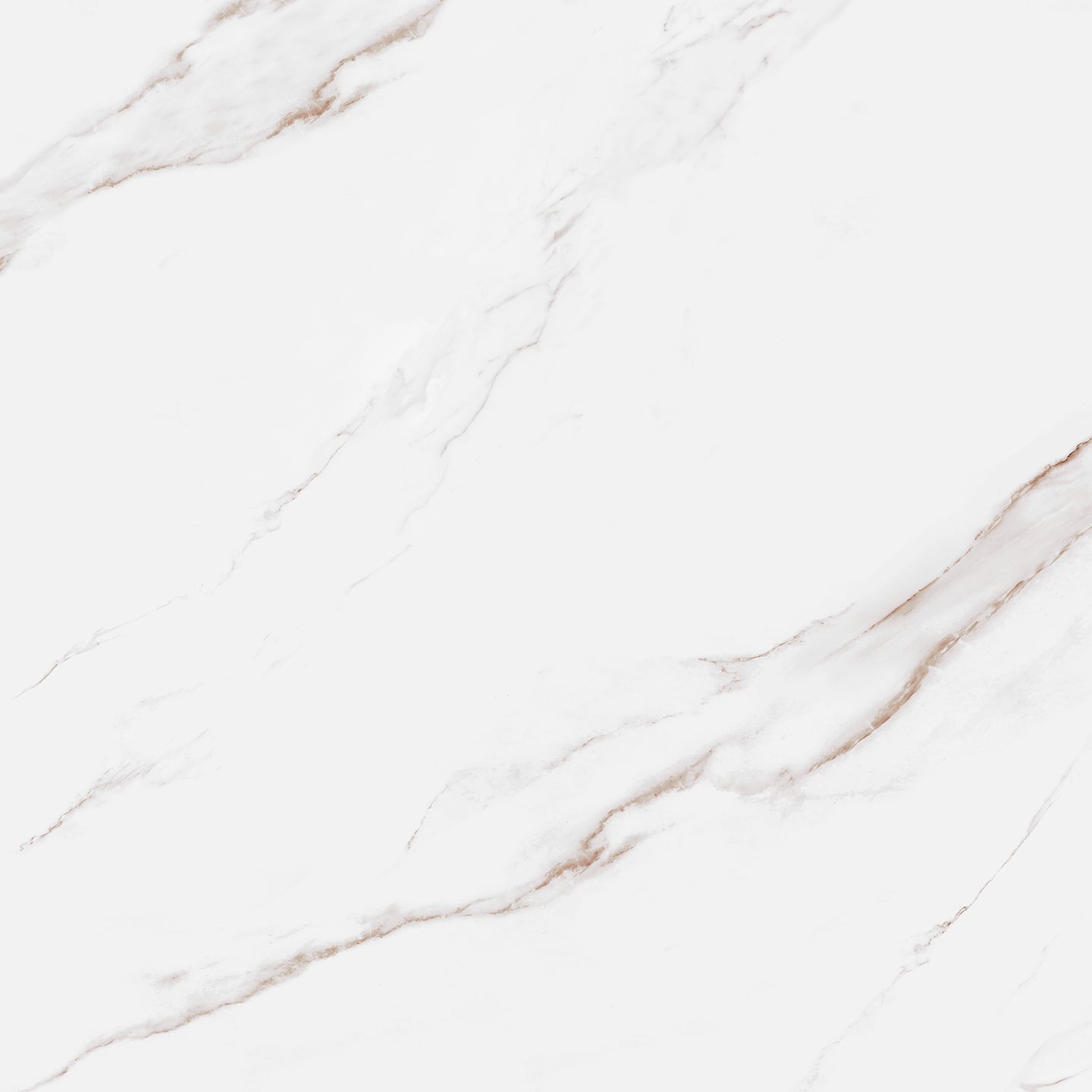 10106 Calacatta Maia view 2