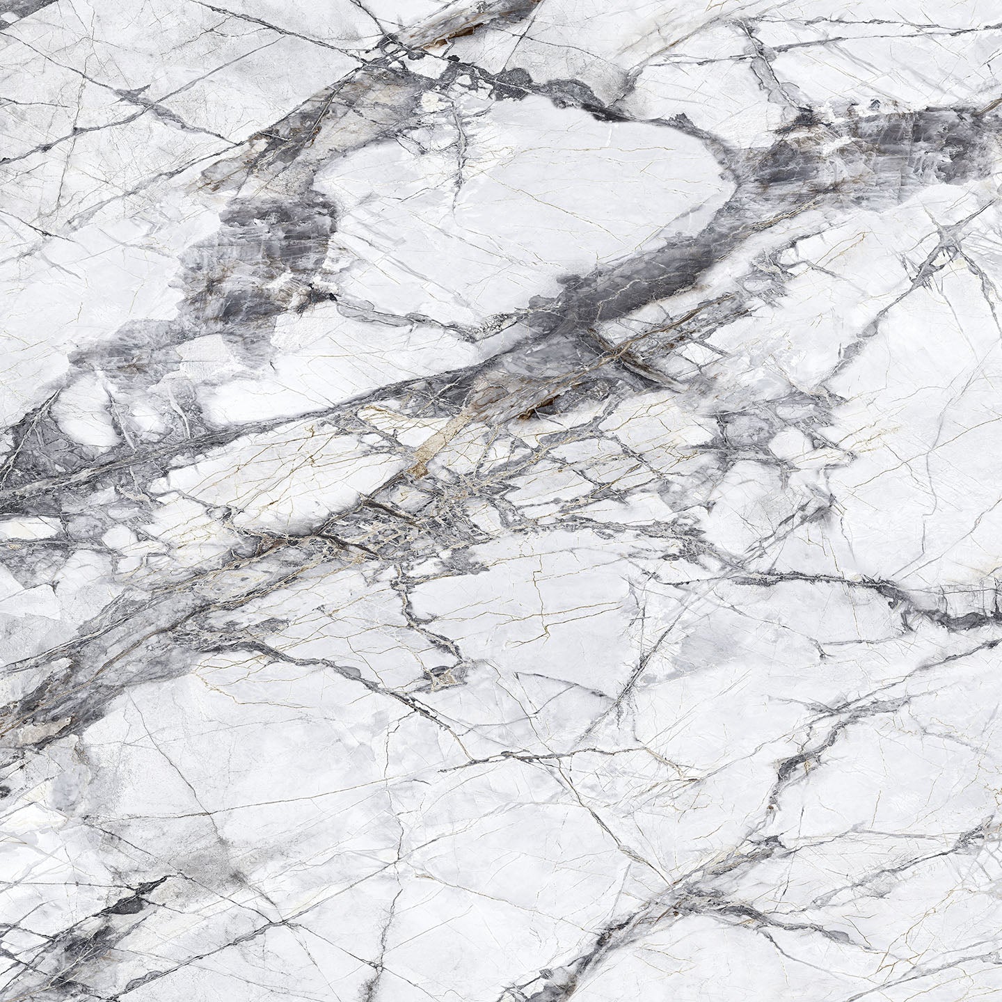 10112 Teravia White view 2