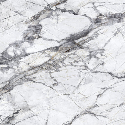 10112 Teravia White view 2