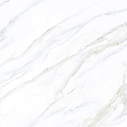 10121 Calacatta Arlena view 2