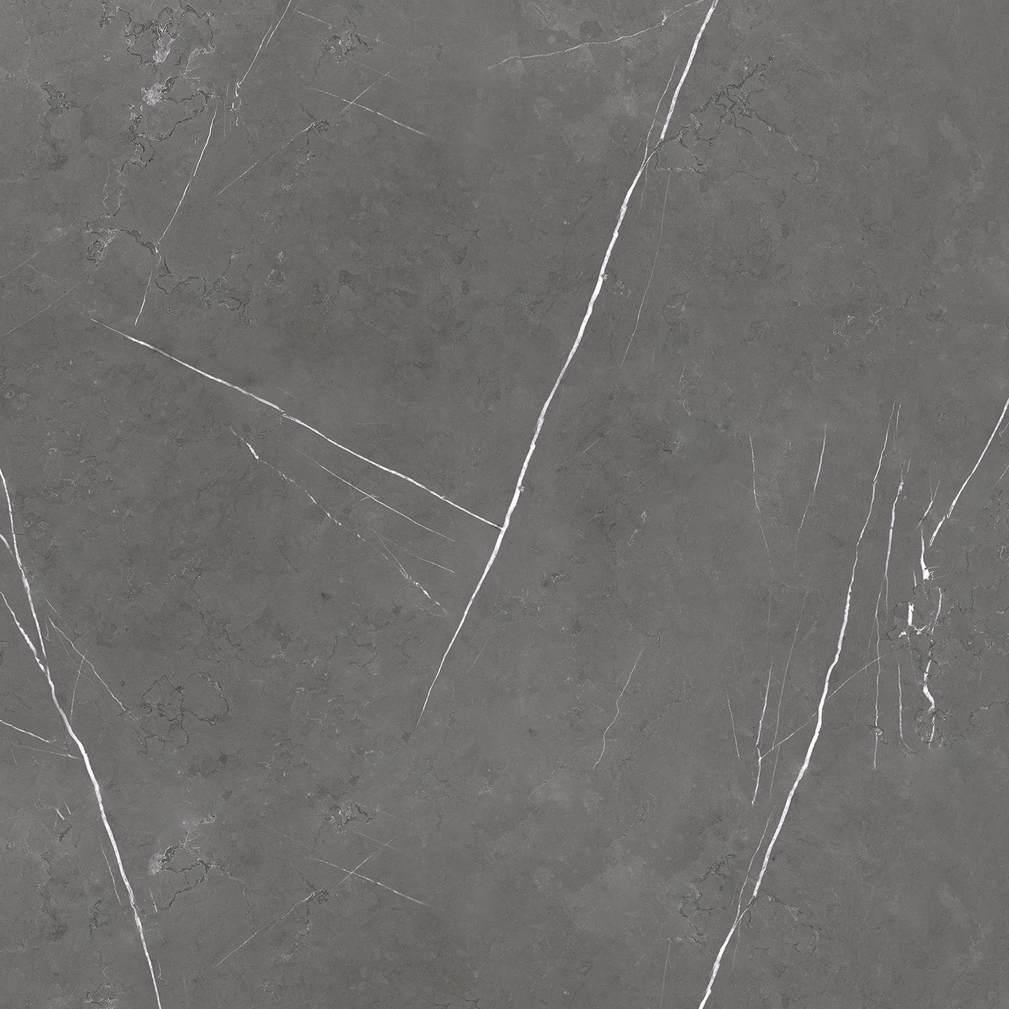 10133 Dark Shade view 2