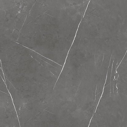 10133 Dark Shade view 2