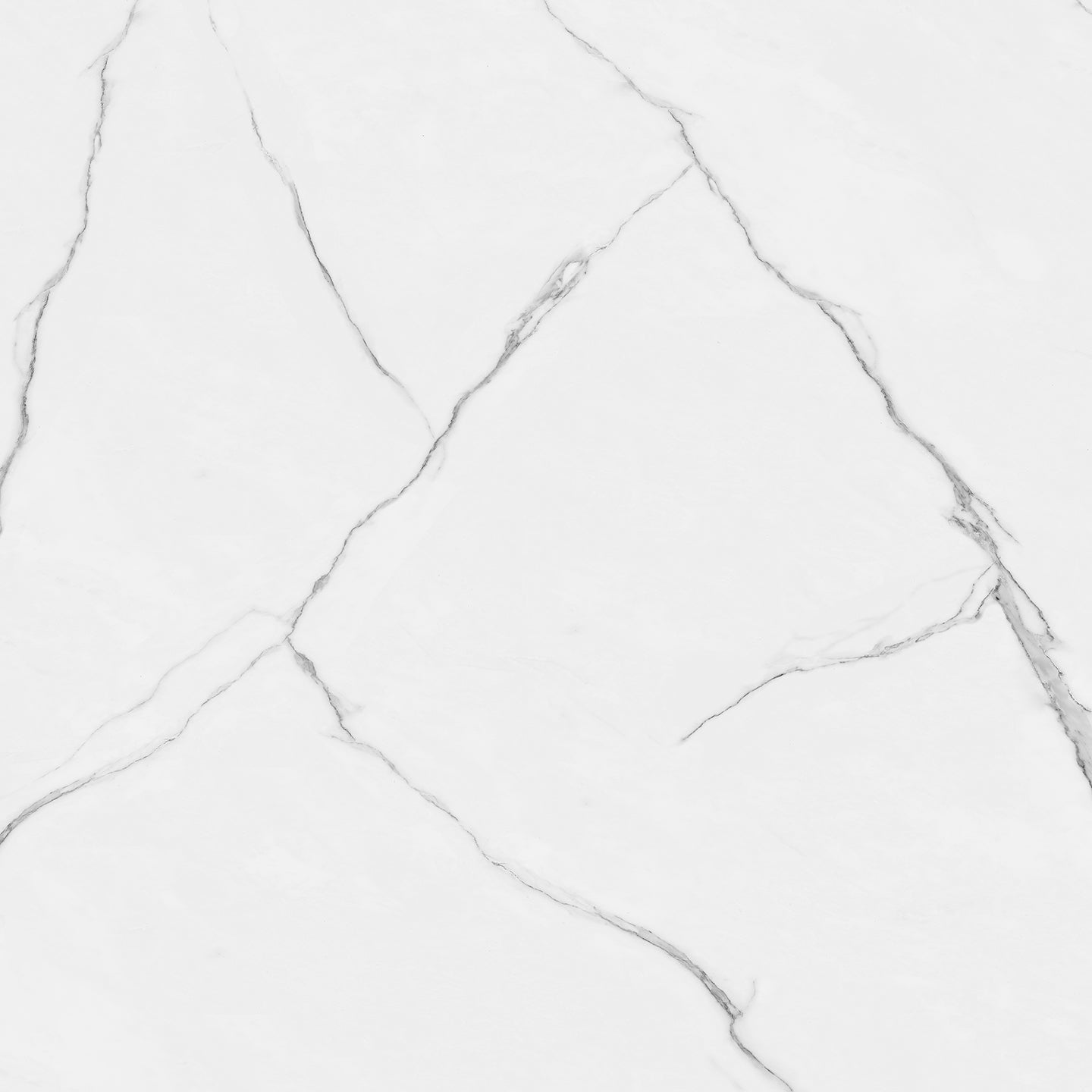 10130 Calacatta Caverno view 2