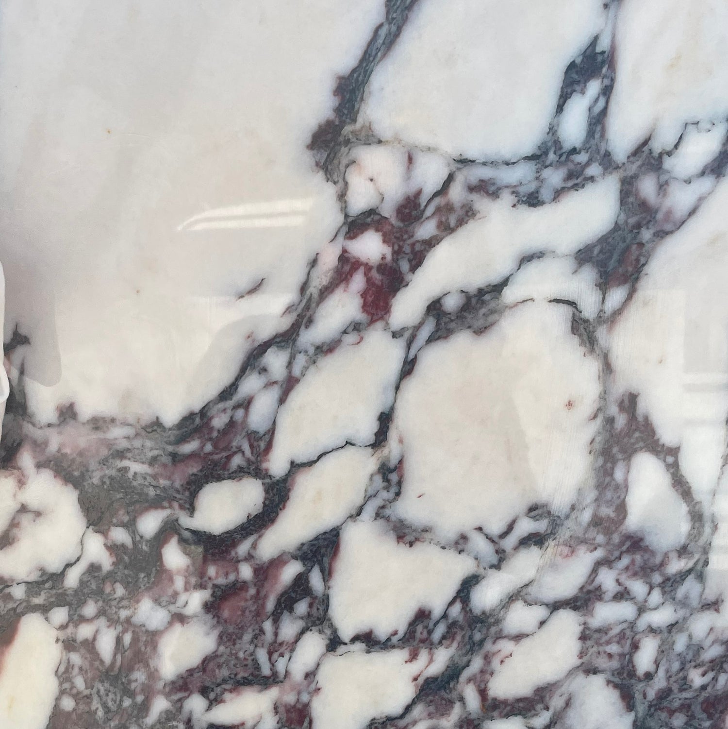 Calacatta Viola Marble Texture for Sink