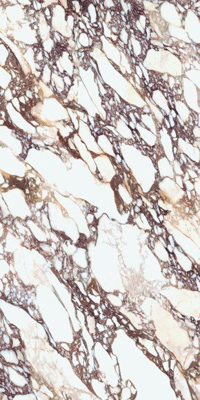 Calacatta Viola Book Match